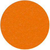 Indian Spice