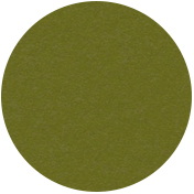 Oak Moss